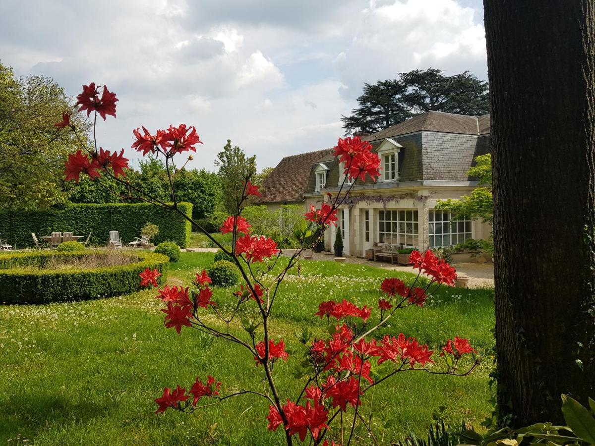 Bed and Breakfast La Taille De Biou Huisseau-sur-Cosson Esterno foto