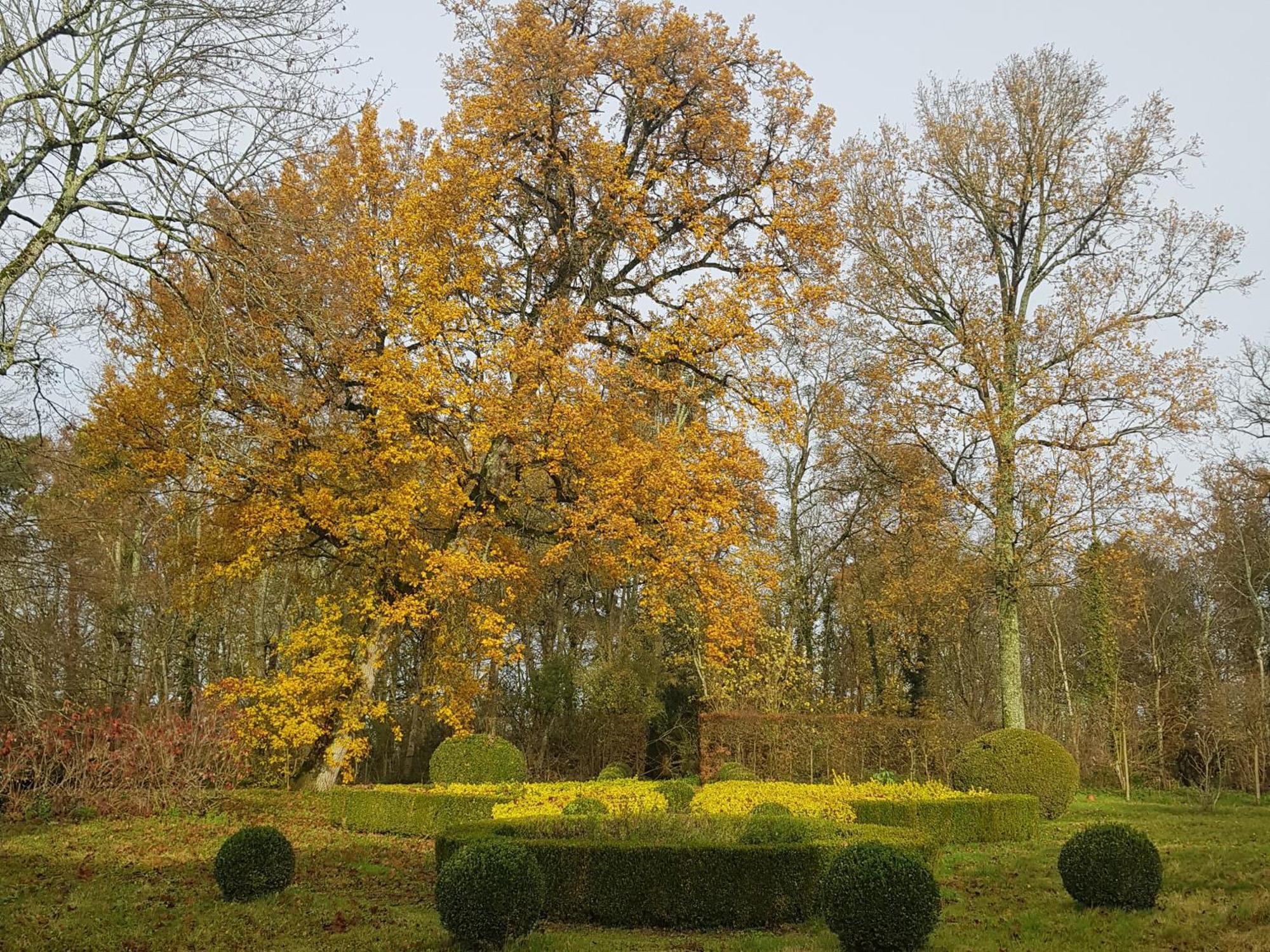 Bed and Breakfast La Taille De Biou Huisseau-sur-Cosson Esterno foto